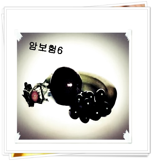  농협실비보험  유리한조건