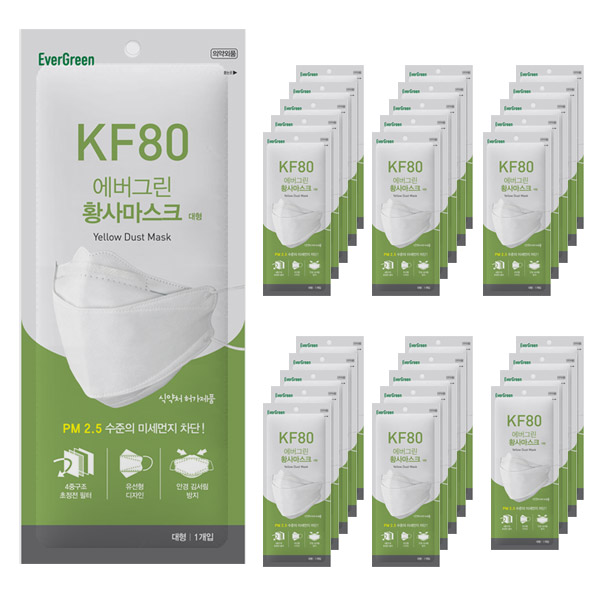  에버그린 황사마스크 대형 KF80, 1개입, 30개