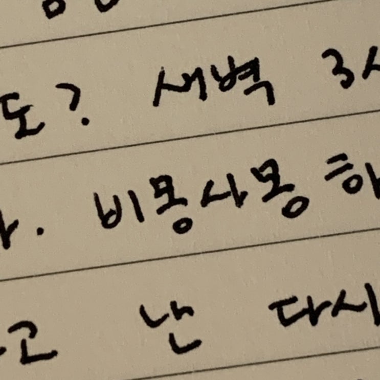  사랑이란 이름의 무수한 날 들