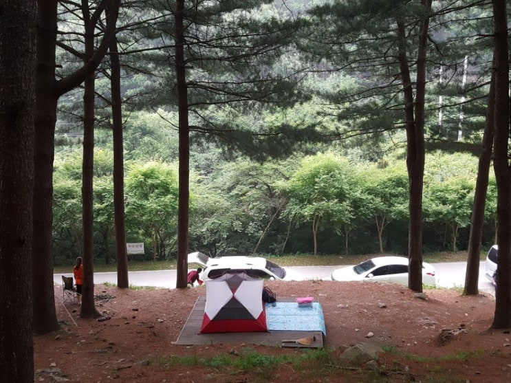  캠핑클럽을 보면서.. 핑클 중미산휴양림 캠핑 중미산계곡