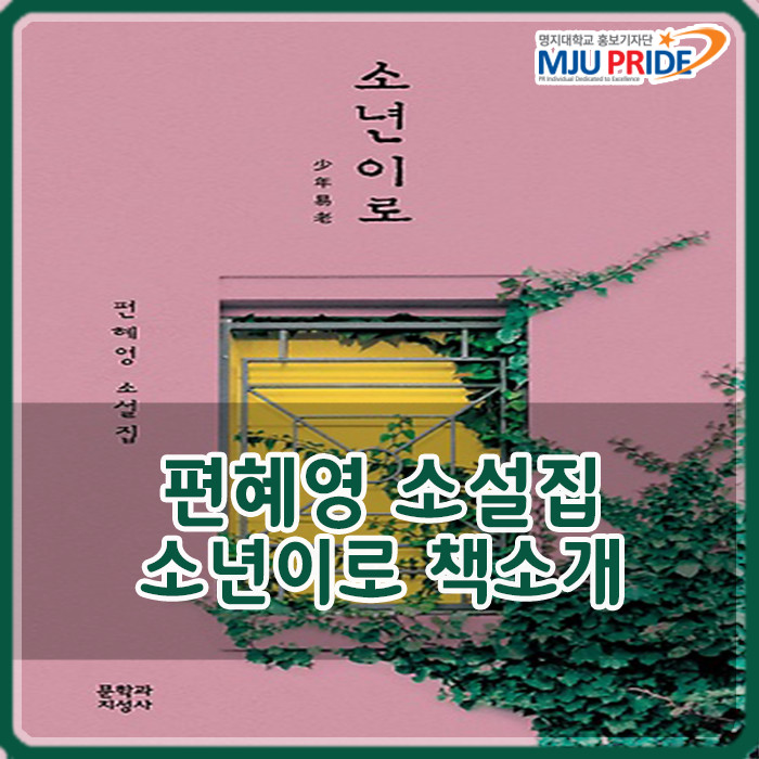  [책소개] 소년이로 (편혜영 소설집)  