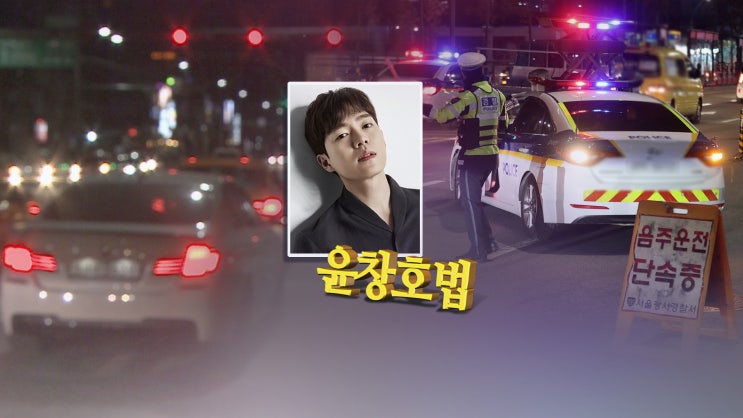  손승원 음주 뺑소니 사건
