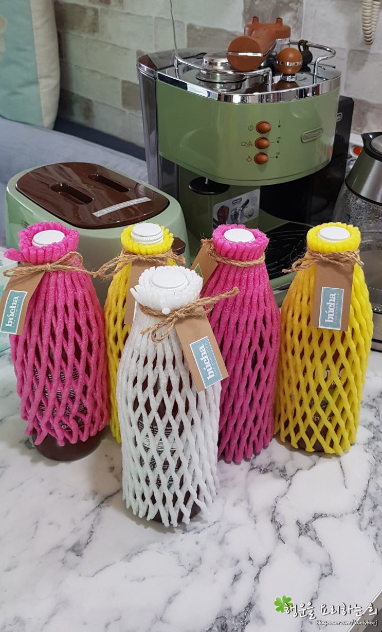  다이어트주스 부차 라이브 콤부차 상큼 시원하네!