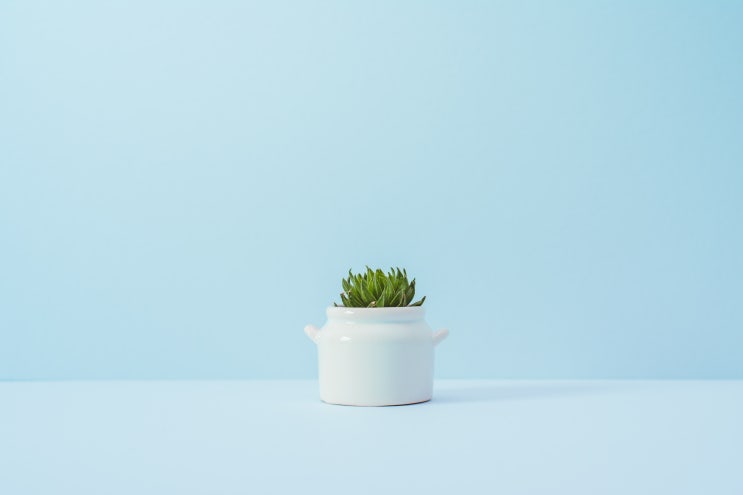  2019년 비움 리스트: 목표는 1,000개