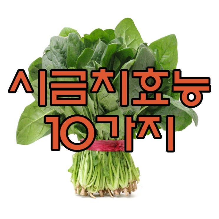  시금치 효능 10가지 이제 알고 드세요