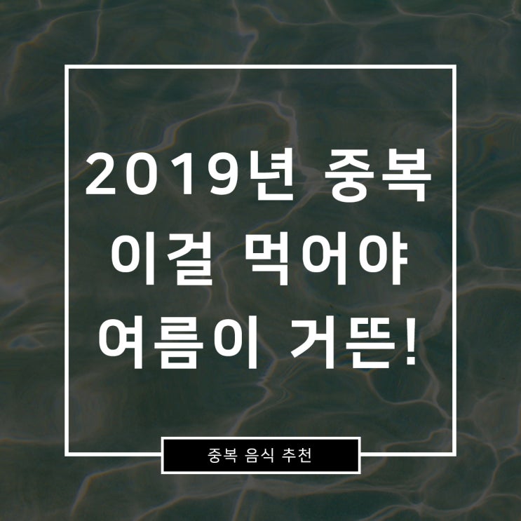  2019년 중복 이걸 먹어야 여름이 거뜬!