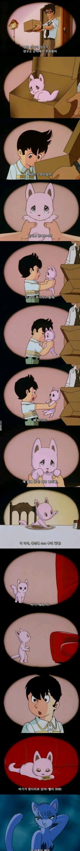  냥줍하는 만화