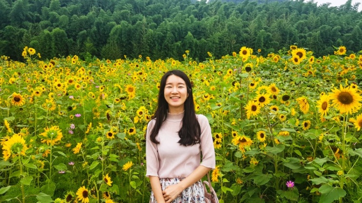 울산 태화강국가정원 울산 태화강국가정원