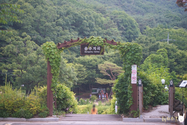 양주 송추계곡 현재상황, 북한산 둘레길 산책 주말 나들이