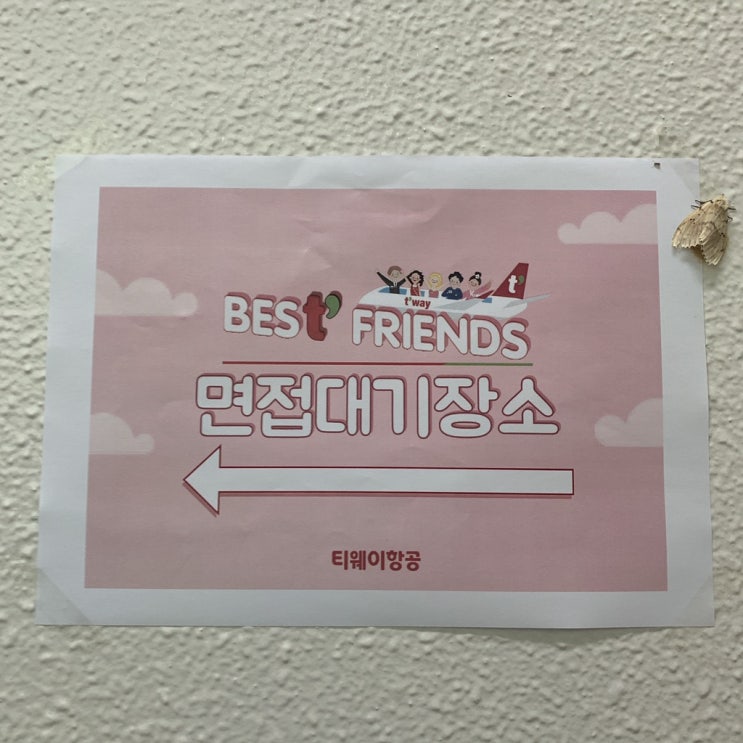  [베스티프렌즈] 티웨이항공 글로벌서포터즈 베스티프렌즈 2기 서류, 면접 후기