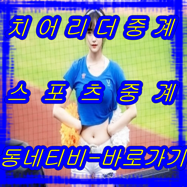  하지원 치어리더 대장으로 직찍 안지현 박기량 치어리더들의 활발한 활동 치어리더 관람명당