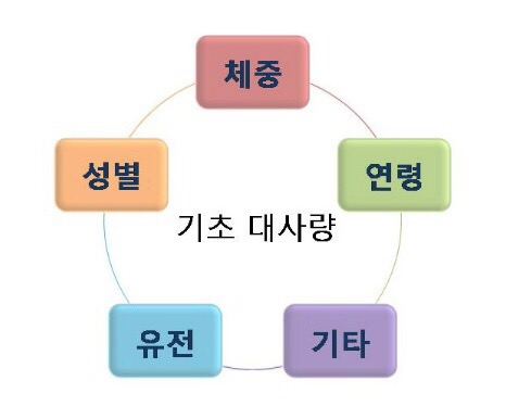  역삼PT의 명소!! 리미트리스짐 기초대사량이란 무엇일까?