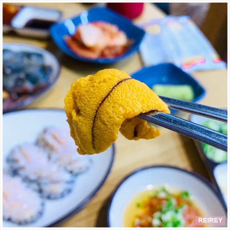  [송파/가락시장]우니와 함께 신선한 해산물 한가득 가락시장 맛집: 금성횟집,소정식당 with REIREY
