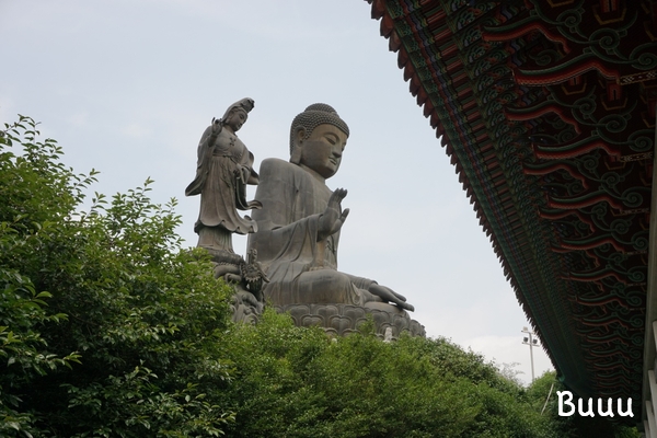  강진 남미륵사 생각보다 넓다