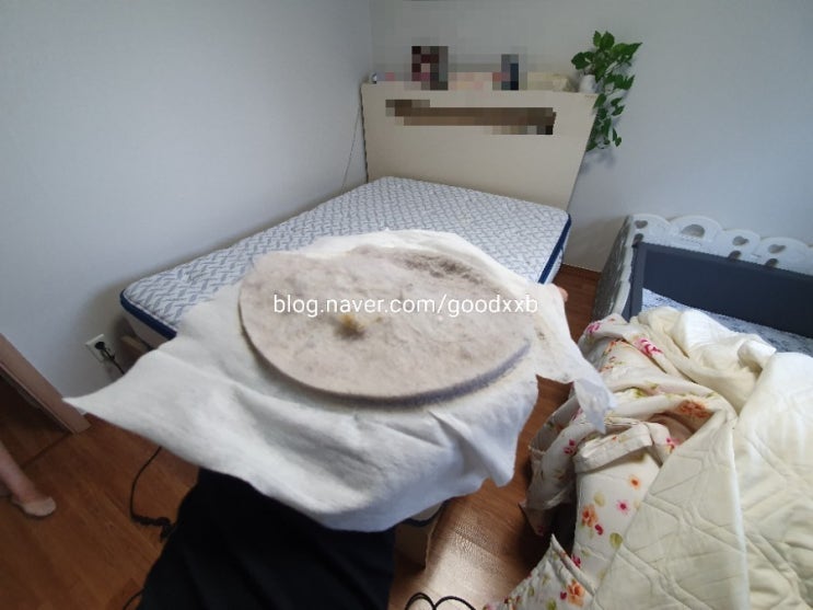  집먼지 진드기 침구 미세먼지 케어