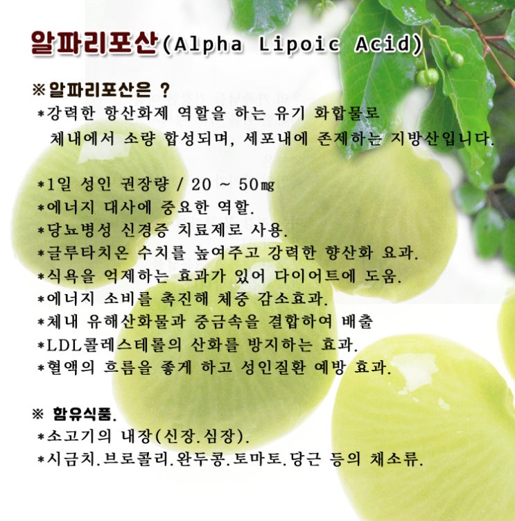  알파리포산의 효과