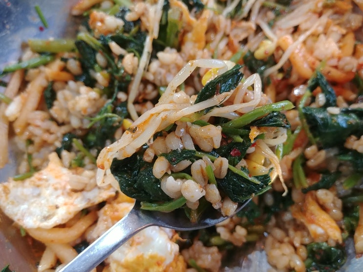  [이천맛집/관고동] 셀프 보리 비빔밥_ 들밥
