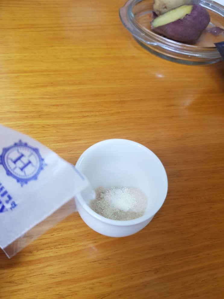  강아지 약 먹이기
