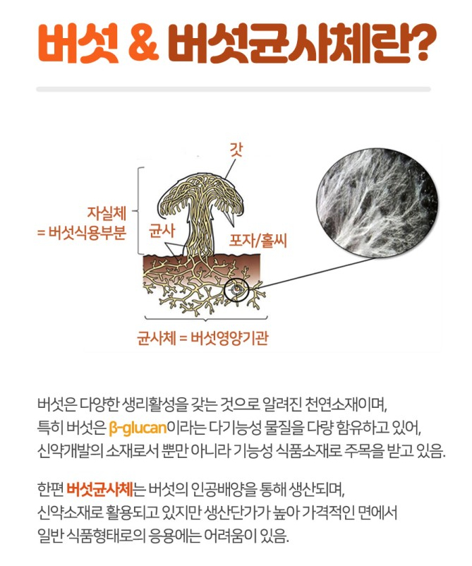 복합버섯뿌리! 건양대 의과대학팀의 차가, 상황, 영지 복합버섯균사체 연구 자료