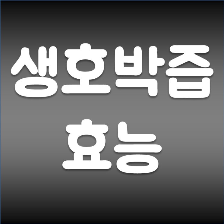 혈액정화 특급 식품! 생호박즙 효능 호모시스테인 감소 만드는법