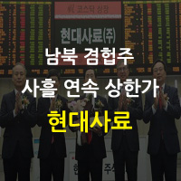  남북 경협주 - 최고의 이슈 현대사료