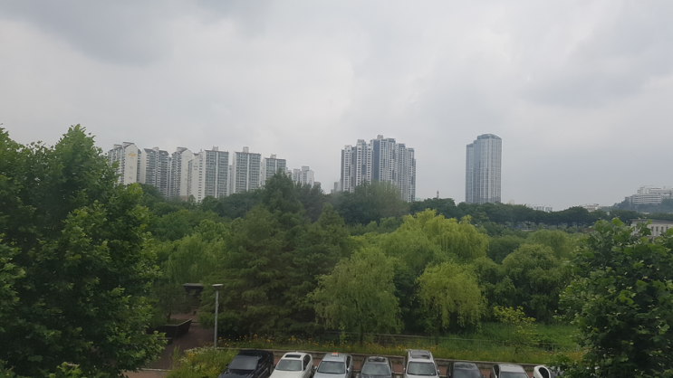  건빵 다이어트당질조절 프로젝트(케토  디젤게이트 폐기