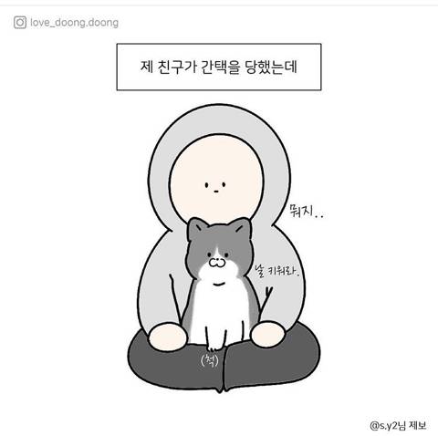  고양이에게 간택당한 친구 이야기