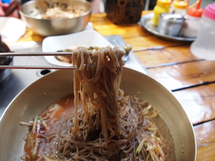 포천시 화현면 전통을 간직한 느낌, 돌거북 막국수