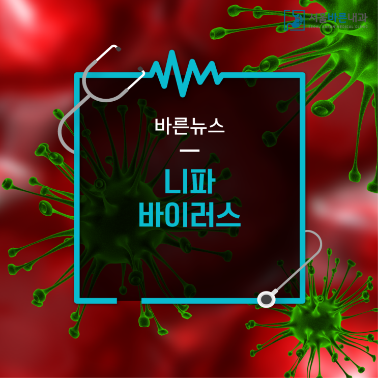  니파바이러스!! 태국, 베트남 동남아시아 주의하세요 -2동탄감염내과
