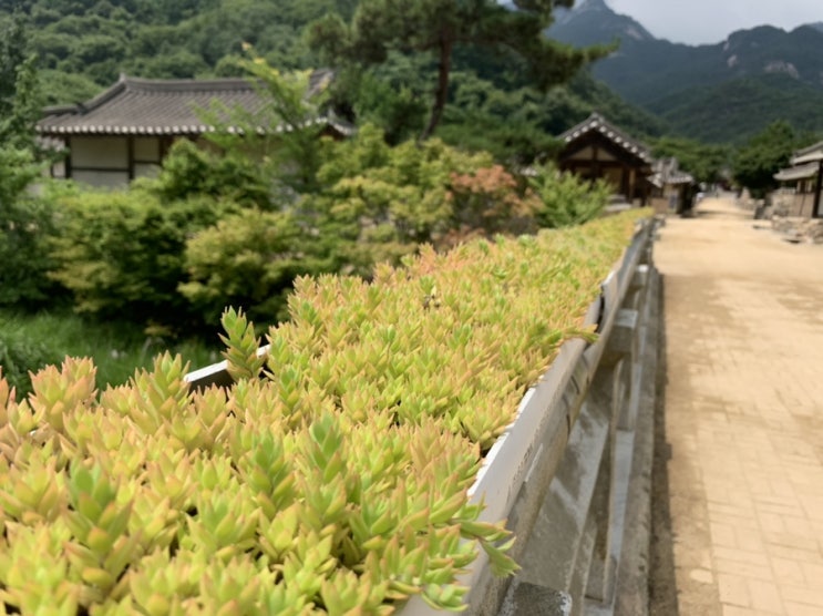 문경새재- 좋아요~~️