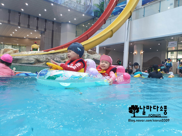  화순 금호아쿠아나 물놀이 고고씽~!