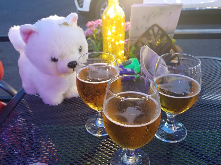  맥주 한잔