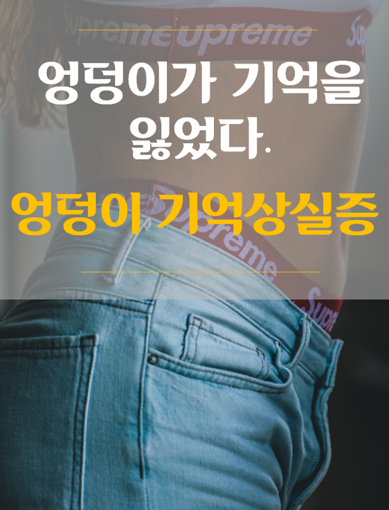  [의료 상식]엉덩이 기억살실증