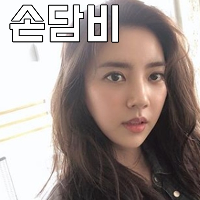 손담비 나이 집 키 인스타 wow