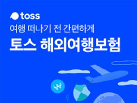 토스 해외여행보험 : 삼성화재 토스 여행자 보험 가입 실속형