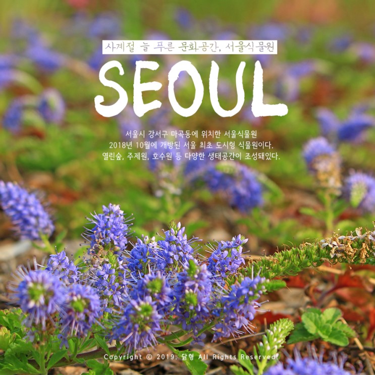 마곡 서울식물원, 사계절 늘 푸른 공간