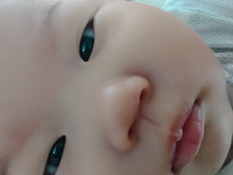  생후181일-190일 ; 연꽃축제,꼬맹다컴,불타는쪽갈비,문화센터,바르미