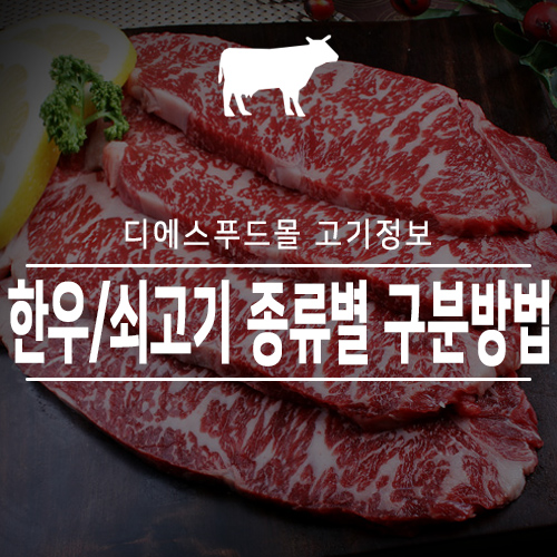 [디에스푸드몰 고기정보]한우/쇠고기 종류별 구분 방법