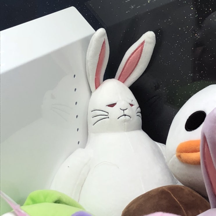  마요네즈인 줄 알고 샀더니 마요네스인 것처럼 작대기 하나가 빠진 삶이다