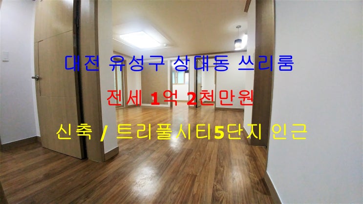  (대전 유성구 상대동) 트리풀시티5단지 인근에 있는 신축 ! 아주 저렴한 쓰리룸 전세 매물입니다 ^^