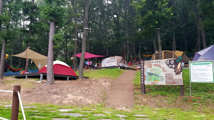 덕산국민여가캠핑장 - 강화도 숲속 캠핑장