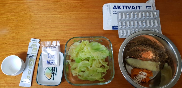  노견 증상과 밥 먹이기