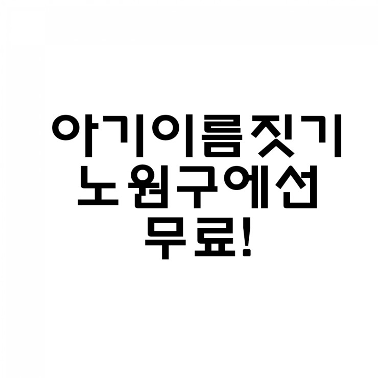  2019년 남자아기이름짓기 노원구청에서 무료로 했어요!