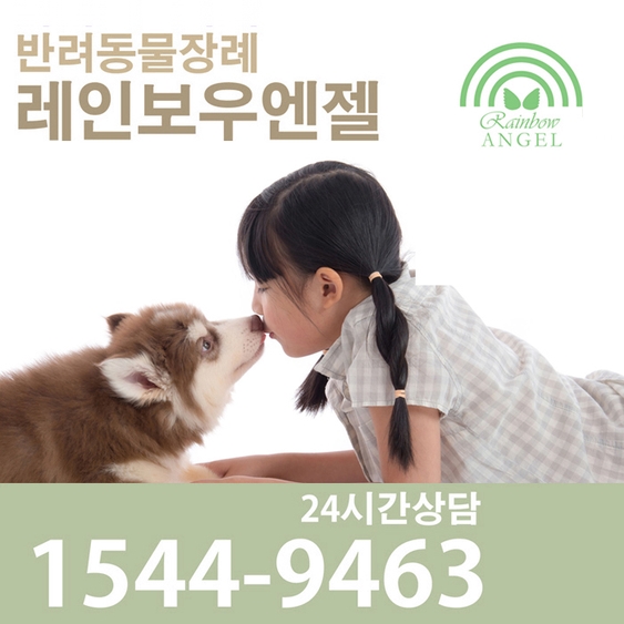  반려동물화장 강아지장례식장의 올바른 선택 기준은? 애견장례식장[레인보우엔젤]