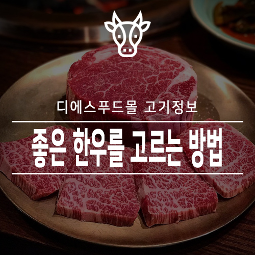  [디에스푸드몰 고기정보]좋은 한우를 고르는 방법