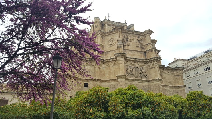 [스페인 포르투갈 D9-1] (그라나다) 산 헤로니모 수도원, 산 후안 데 디오스 성당, 왕실 예배당