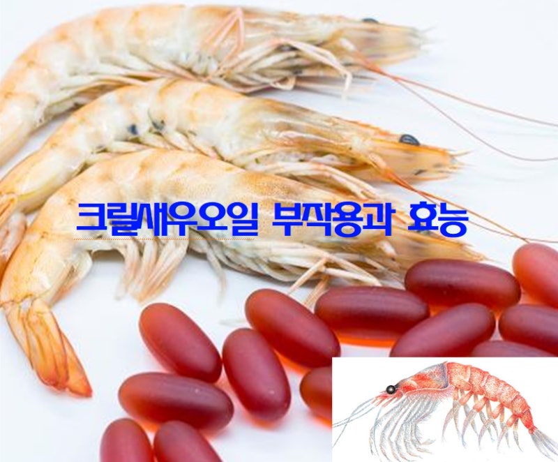 크릴 오일의 효능, 효능, 권장 부작용, 섭취 방법을 모두 알아보자! 위업.크릴새우 5