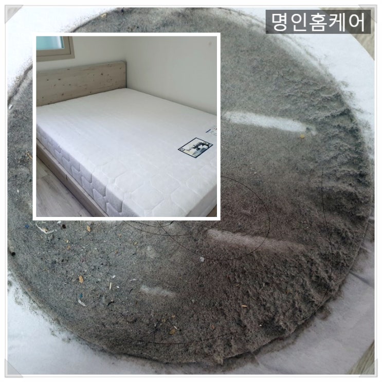  대구 다사 매트리스청소 아이를 위해 진드기 잡는 건식 청소 한 번을 하더라도.