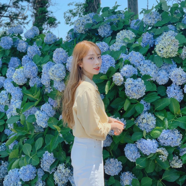  2박3일 제주도 여행 내안의 감성이란 것이 폭발한다..