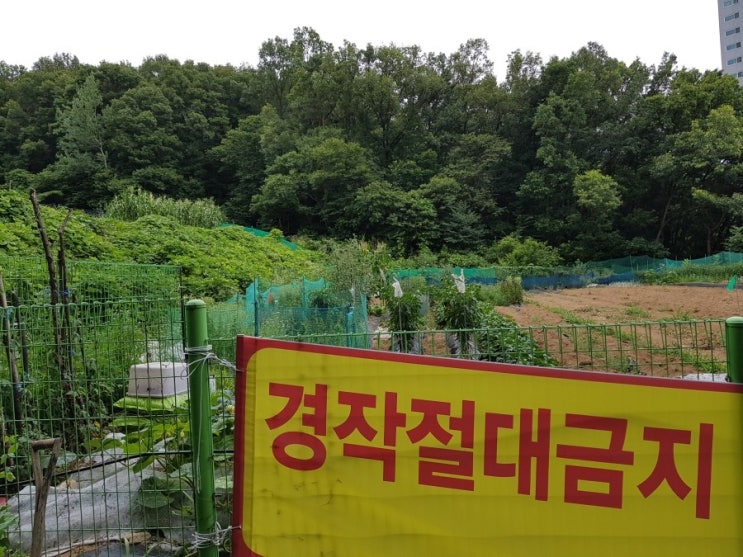  신도시 건설 국책사업, 신안산선 민간투자사업 대규모 토지수용 및 보상